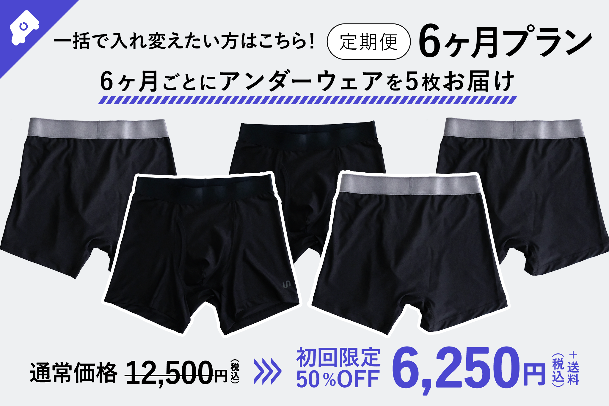 【定期便】UNSUNG 6ヶ月プラン