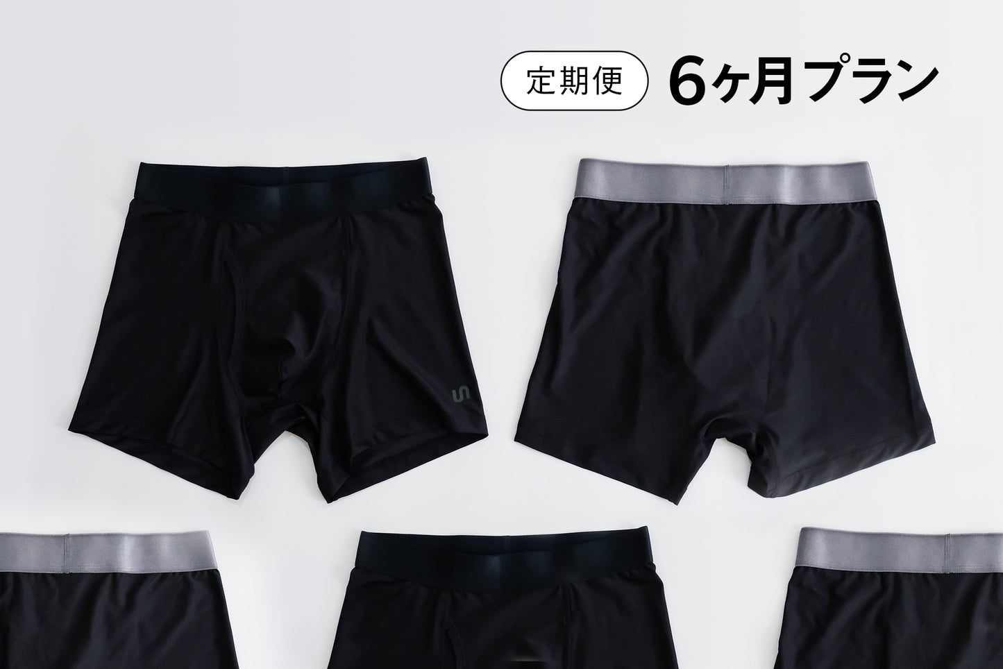 【定期便】UNSUNG 6ヶ月プラン