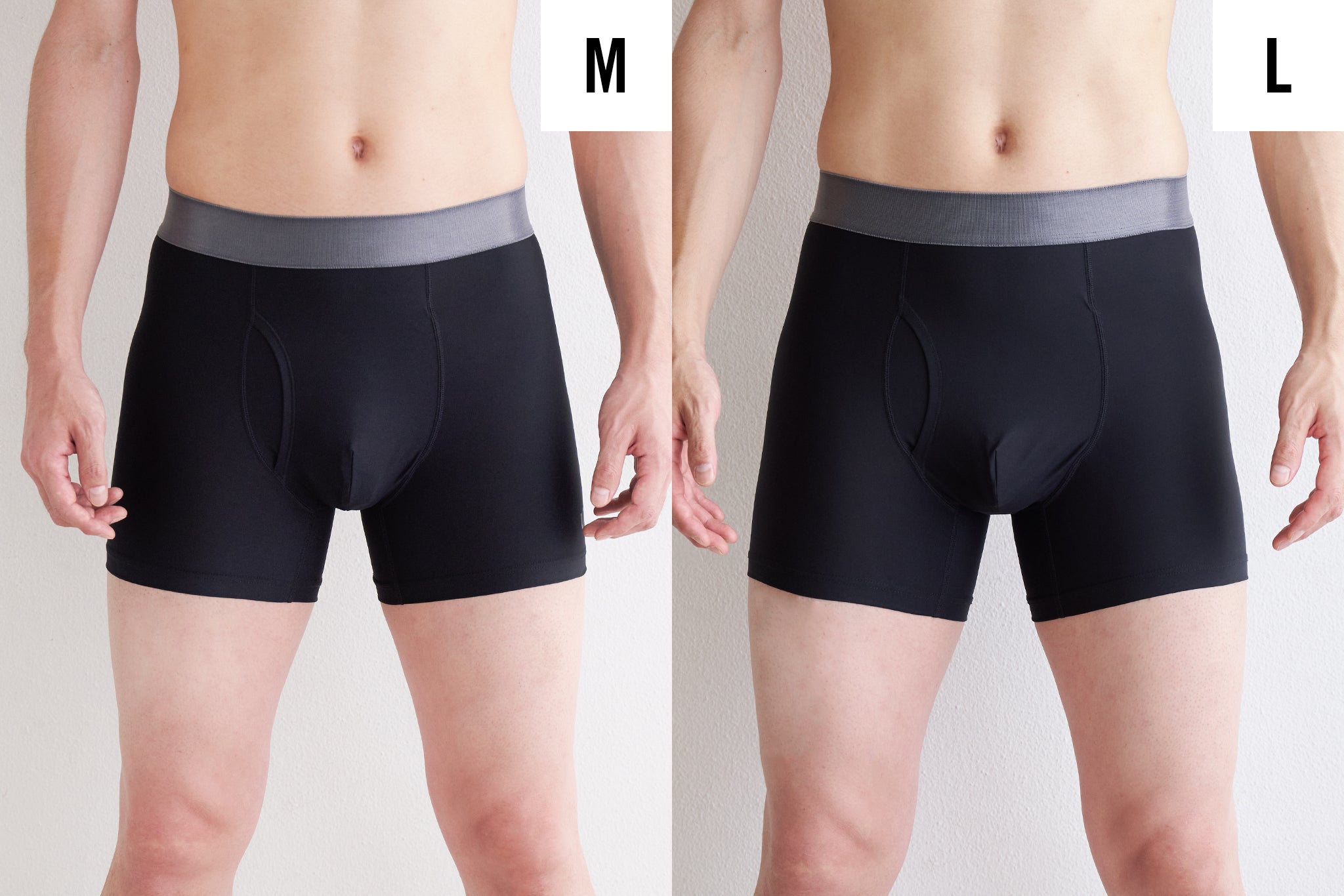 【定期便】UNSUNG 6ヶ月プラン